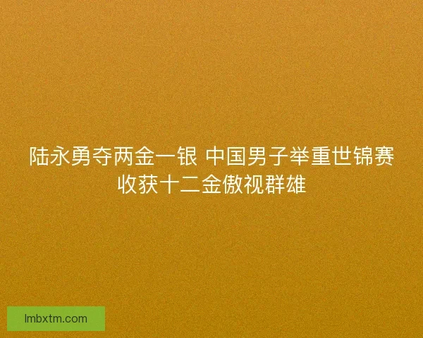 陆永勇夺两金一银 中国男子举重世锦赛收获十二金傲视群雄