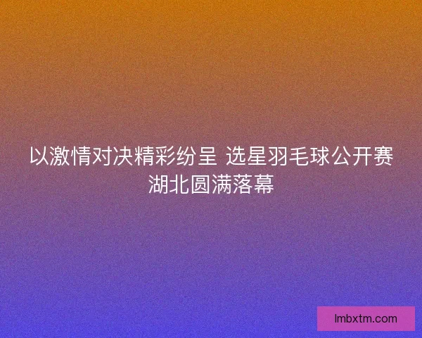 以激情对决精彩纷呈 选星羽毛球公开赛湖北圆满落幕